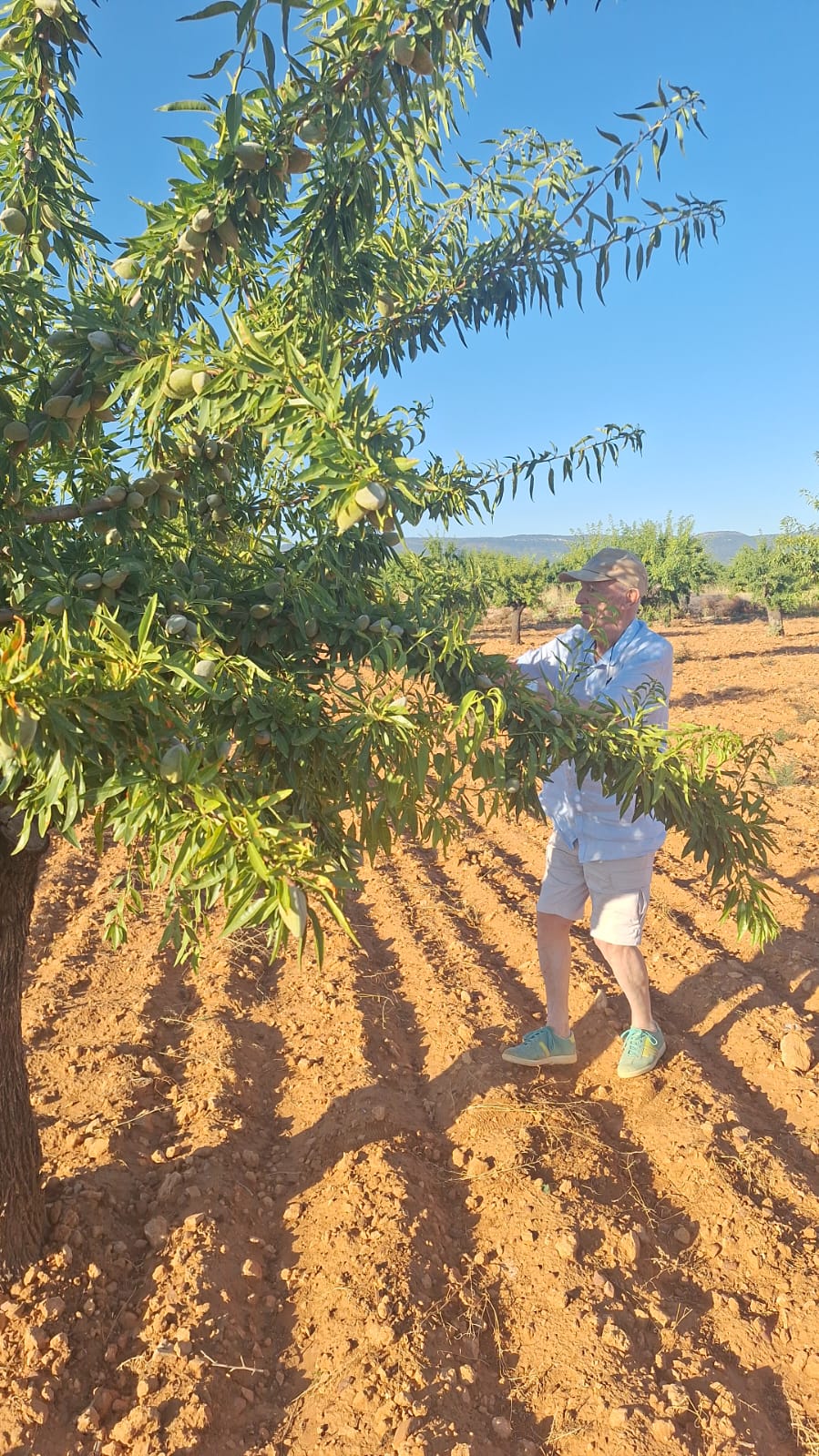 Equipo Ecomandel trabajando en el campo